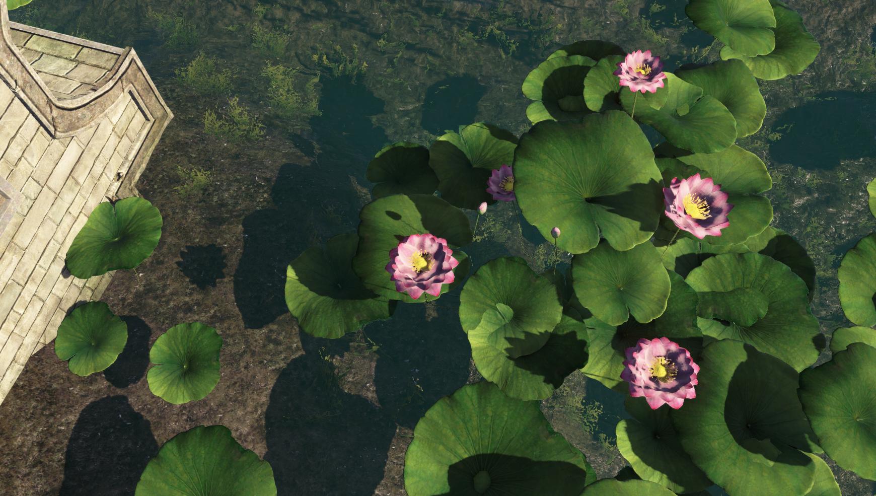 天刀萌新现在还能入坑吗,天刀萌新不喜勿喷