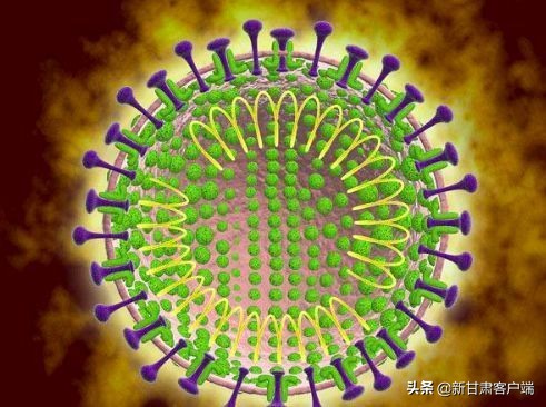 新型冠状病毒可通过气溶胶传播吗 (气溶胶传播病毒专家说法)