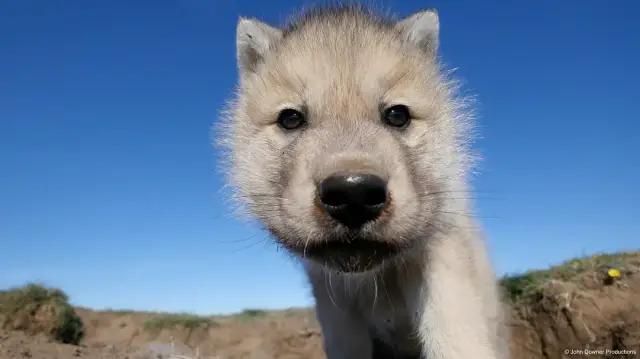 你在搞笑吗韩语,bbc搞笑视频