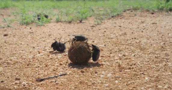 年度最佳女主角范冰冰,颜值与演技力压范冰冰