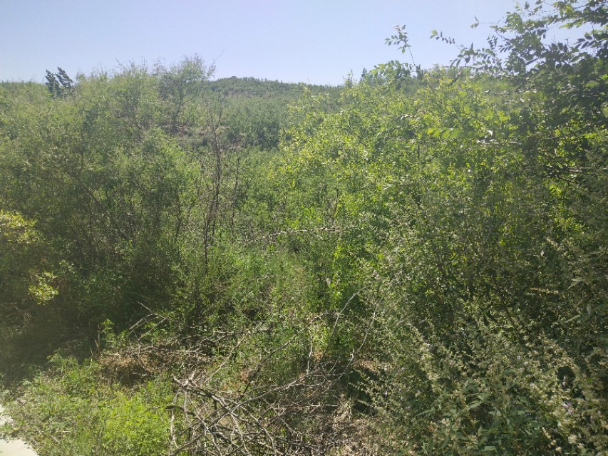 山东鲁家峪自然风景,鲁家峪泉水景点