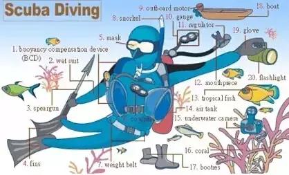 家长收藏孩子受益好物推荐,儿童英语物品词汇大全