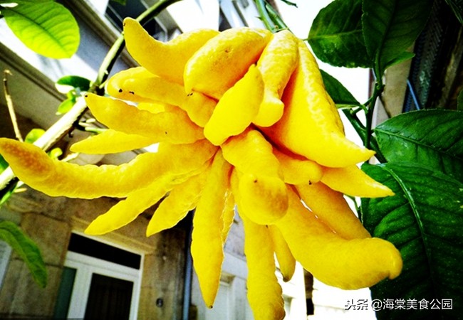 女人40岁多吃三种保养食物,40岁的女性经常吃哪些对皮肤好