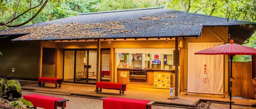 这些句子总有一句会惊艳到你,日语名言名句经典语录