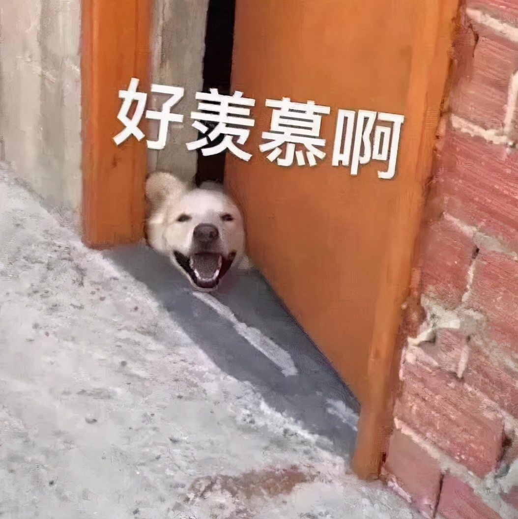 皮肤油毛孔粗大,油痘肌黑头毛孔粗大