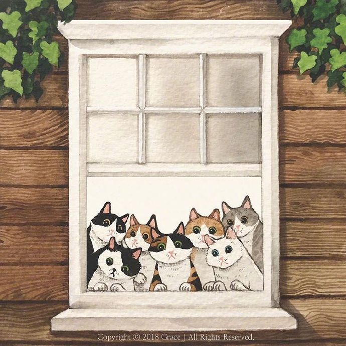 猫咪发情怎么办，教你如何处理猫咪发情