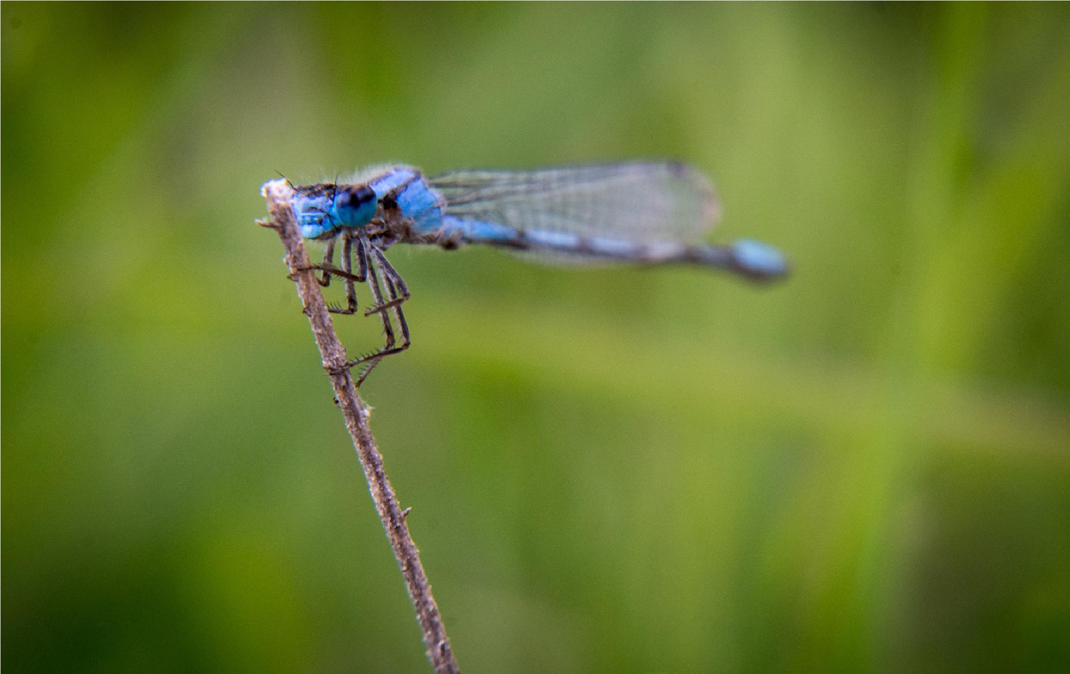 单反相机的基本原理和构成,单反相机使用小常识
