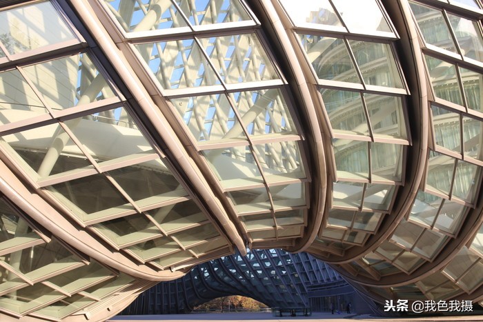 永诺35mmf2和1.8怎么选,永诺50mmf1.8和富士xc35mmf2.0