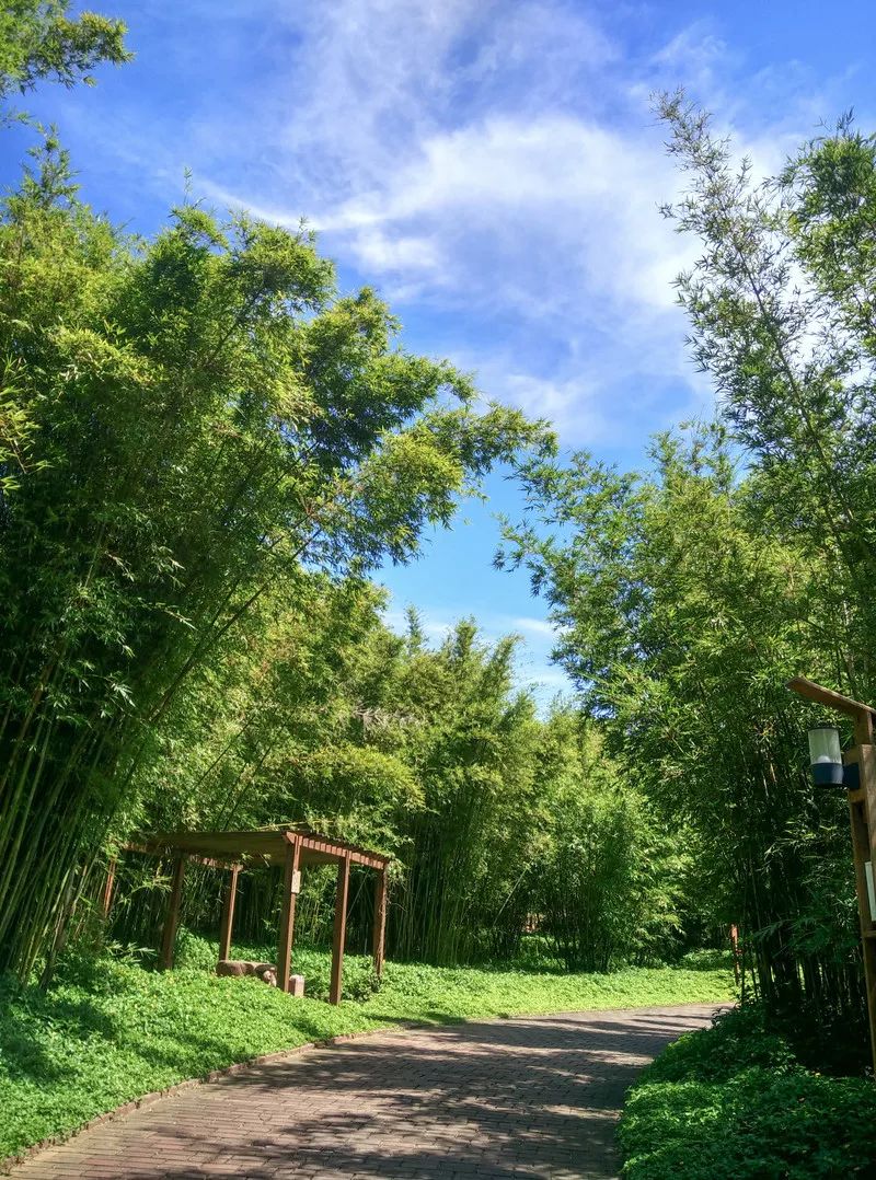 鐏北宀涙毚椋庨洦瑙嗛,鐏北宀涙毚椋庨洦