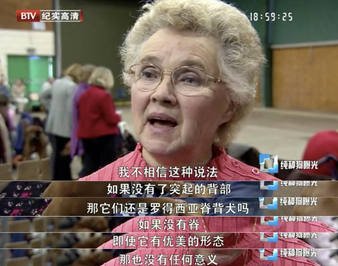 你有什么资格说爱我吗,你有什么资格说爱我完整版