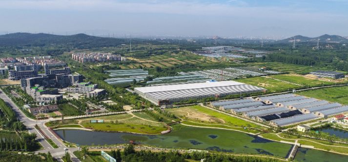 青岛西海岸新区开发建设10周年,青岛西海岸新区改革发展历程