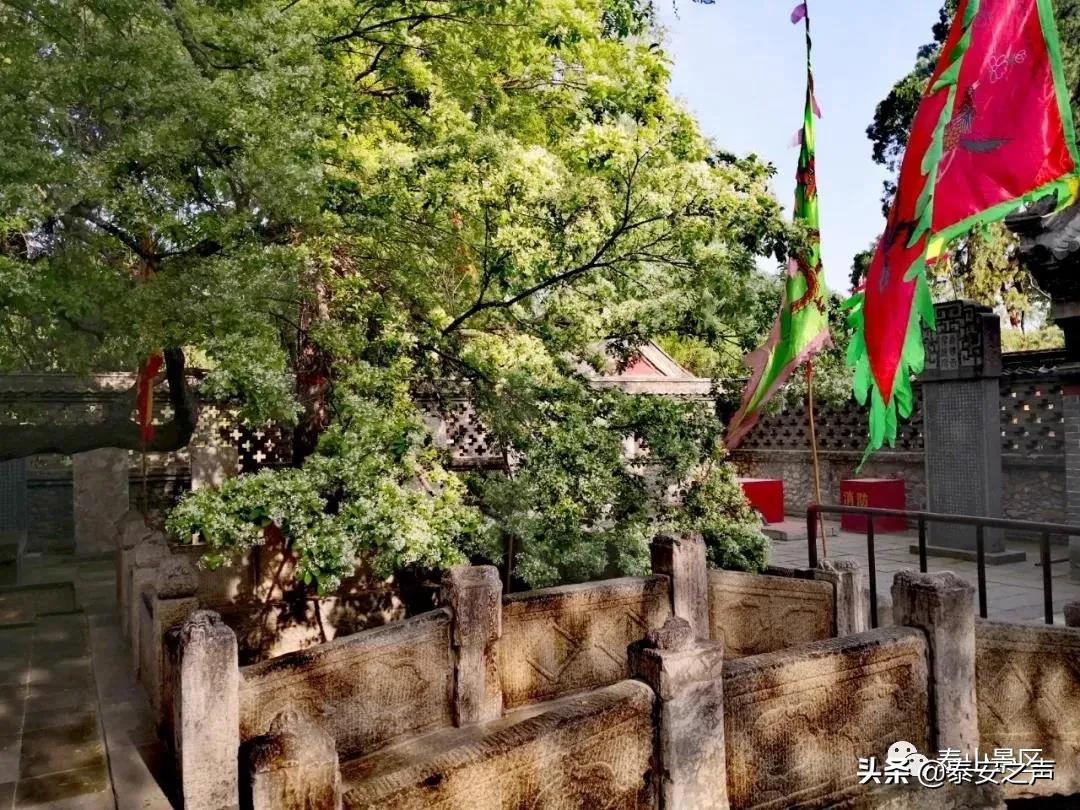 三月三蟠桃会王母娘娘聚群仙,又是一年三月三王母娘娘蟠桃会