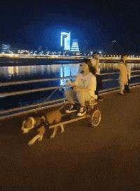 谁这么缺德原版,谁这么缺德原版视频