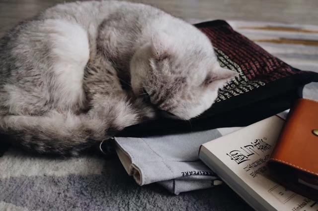 11月好物,10月实用好物推荐