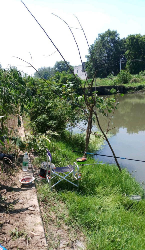 天气回暖第一天鱼情会好吗,降温鱼情影响