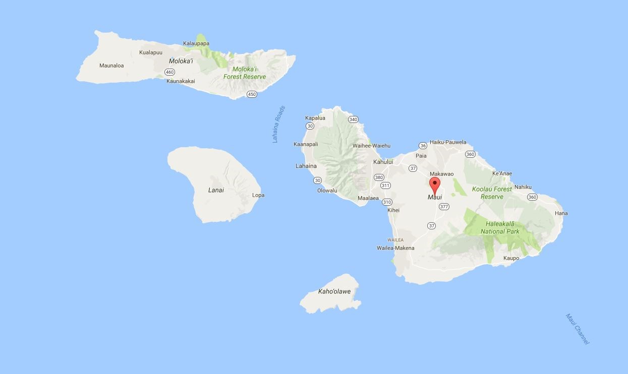 经典海水礁岩生态缸分享，180×120×60厘米三面观赏海缸