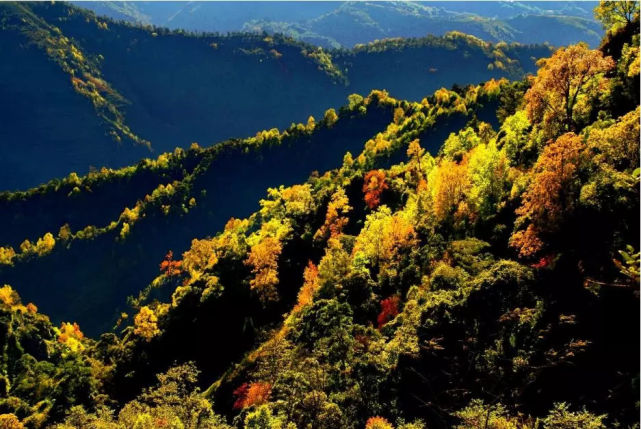 比大理丽江还美的地方,比大理丽江更值得去的地方腾冲