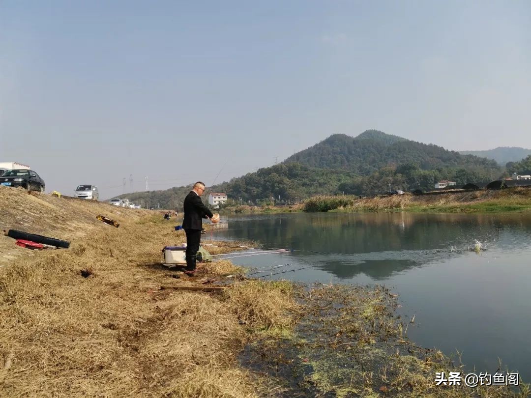 各种钓鱼打窝方式,十种打窝方式视频