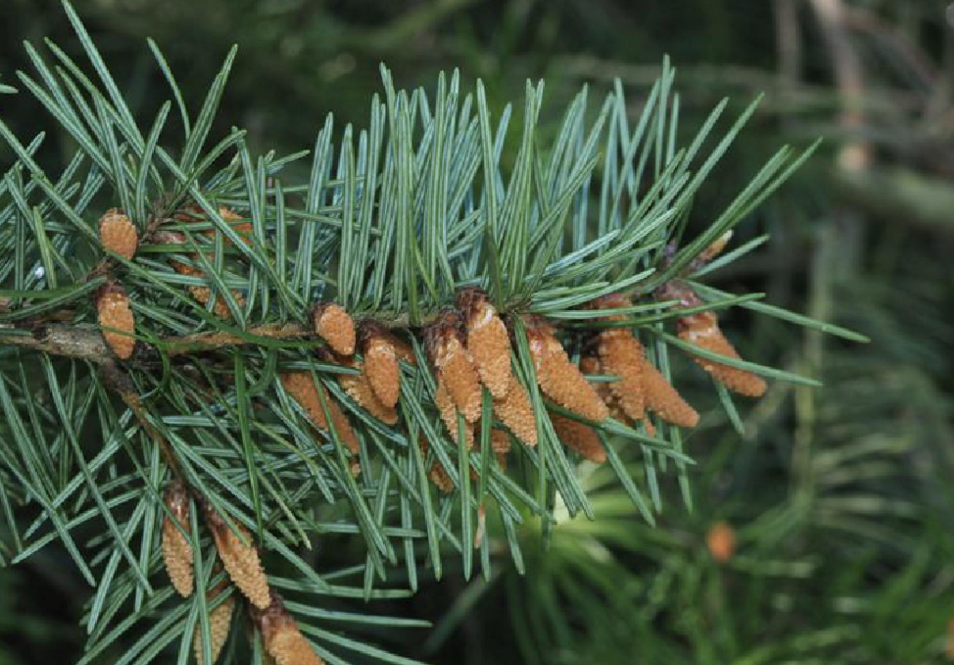 美国车牌为什么那么多图案,为什么有人取车牌