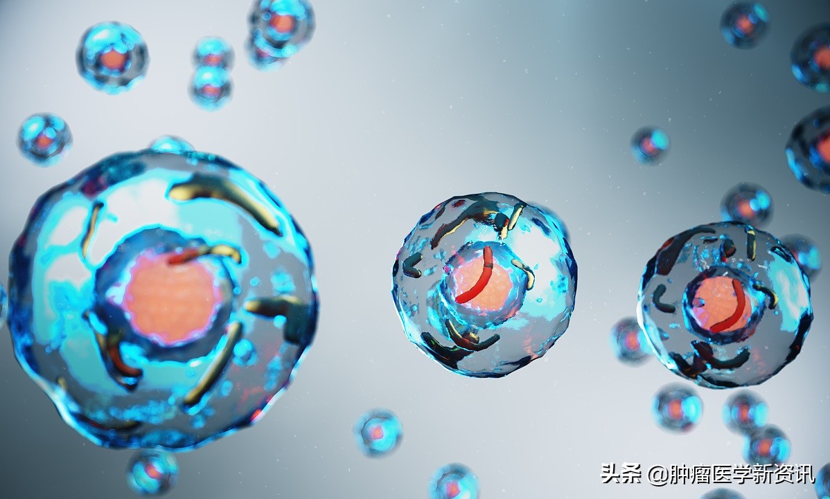 她被误诊得了癌症放弃治疗,她被检查出患癌晚期