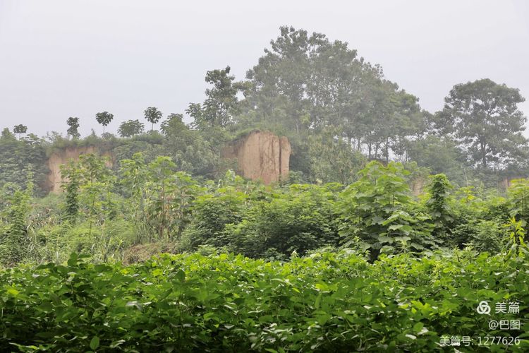 末伏偃师怀旧行,访古春秋时期滑国故城,探幽西天取经唐僧寺