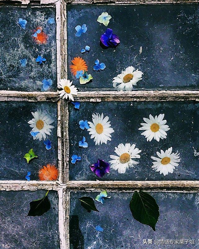 婚姻真谛就是贫贱夫妻百事哀,贫贱夫妻百事哀的恋爱能长久吗