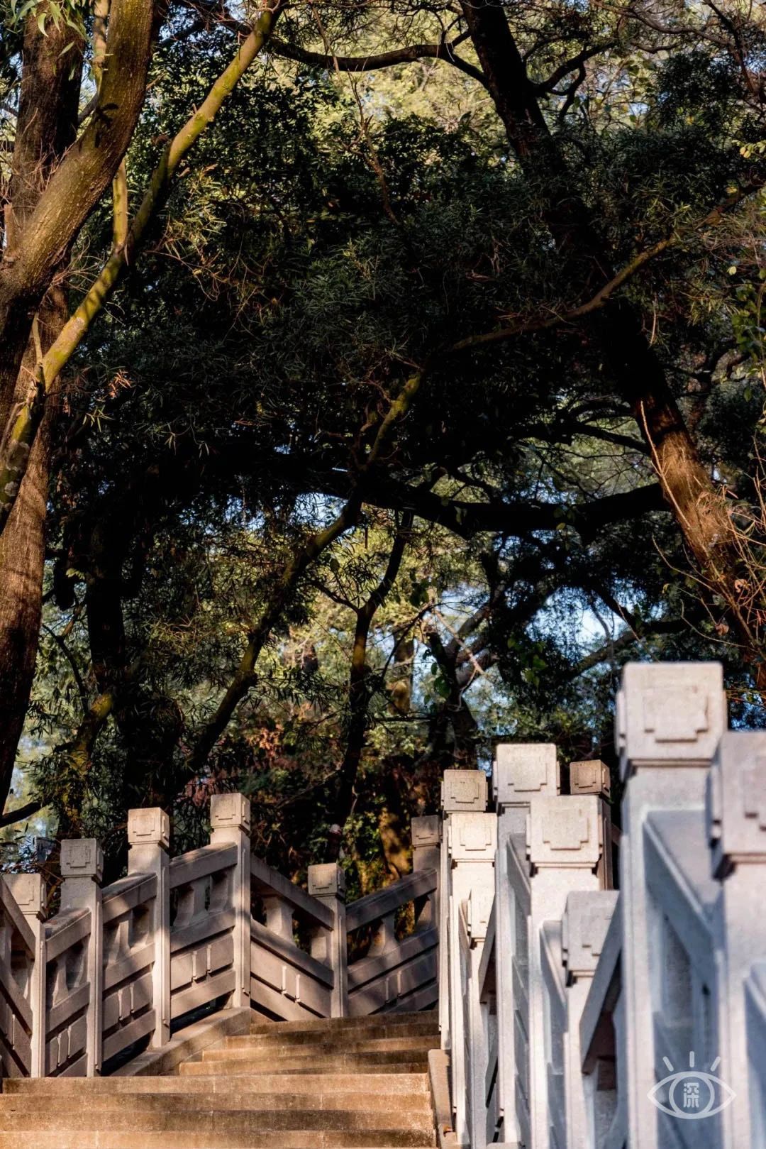 深圳看海去哪里比较好,深圳出地铁就看海的地方是哪里