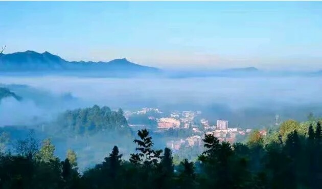 语音字形题就考这些了（七上）。必须收藏！会读会写不后悔。