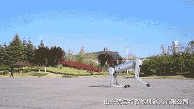 高端智能机器狗,wavego仿生机器狗