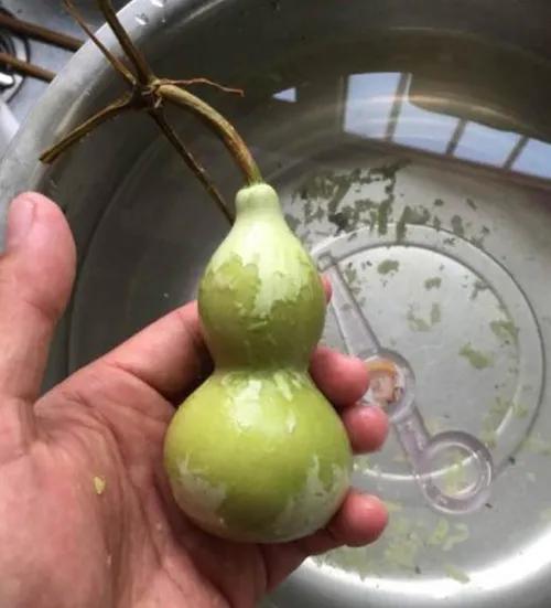 葫芦打皮的正确方法,葫芦打皮技巧视频