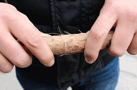 削山药皮手痒吃山药会不会过敏,削完山药皮手痒怎么处置