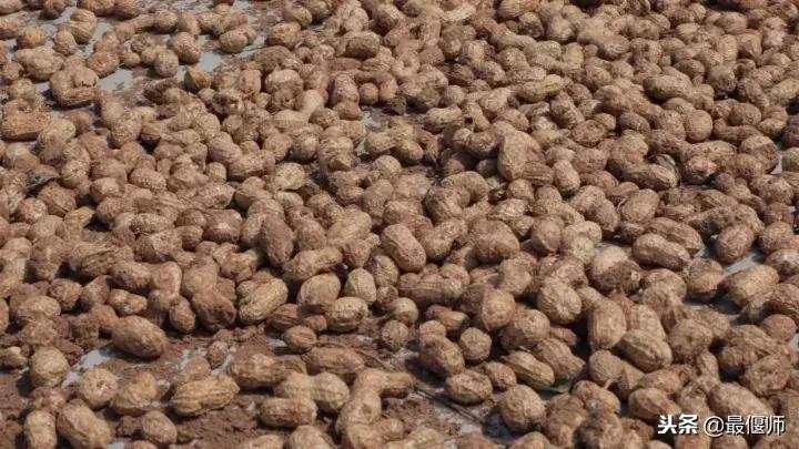 女主播探秘,女主播带你走进神秘直播间