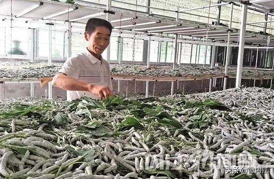 内江增长迅速,内江继续前进