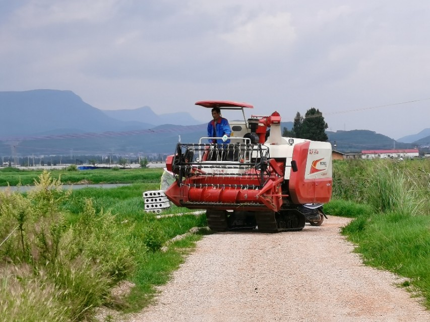 寻甸渔乐谷最新消息,寻甸欢乐世界项目大全