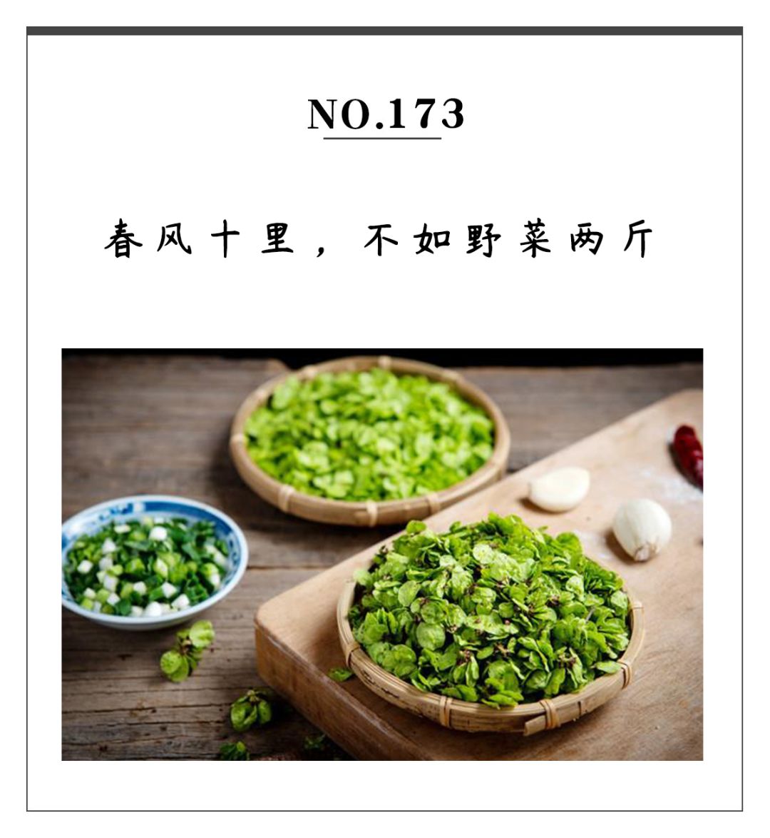 春日小野菜*戏调**指南