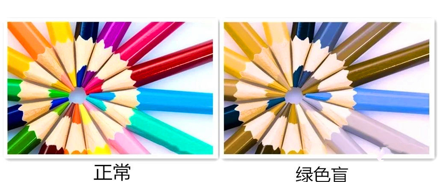 色盲眼中的世界是不是真正的颜色,色盲眼里的世界是什么样子的