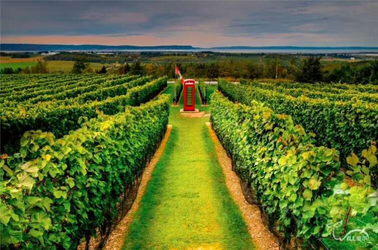 加拿大留学的真实感受是什么,留学加拿大好不好