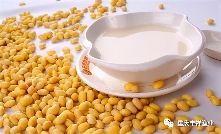 土塘水花鱼苗培育成活率,水花鱼苗养殖投喂什么饲料