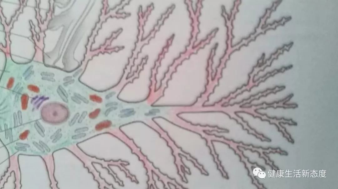 失眠睡眠小知识,深度睡眠的三个小知识