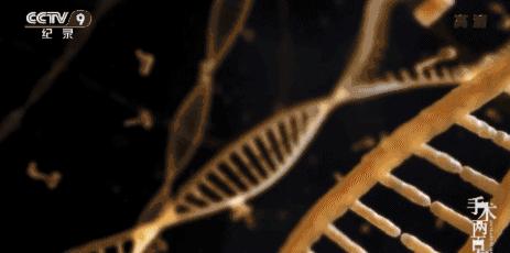 在学习强国看电视剧,能在学习强国看的电视剧