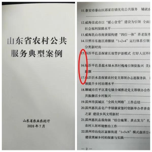临沂市平邑、沂水三项经验做法在全省推广