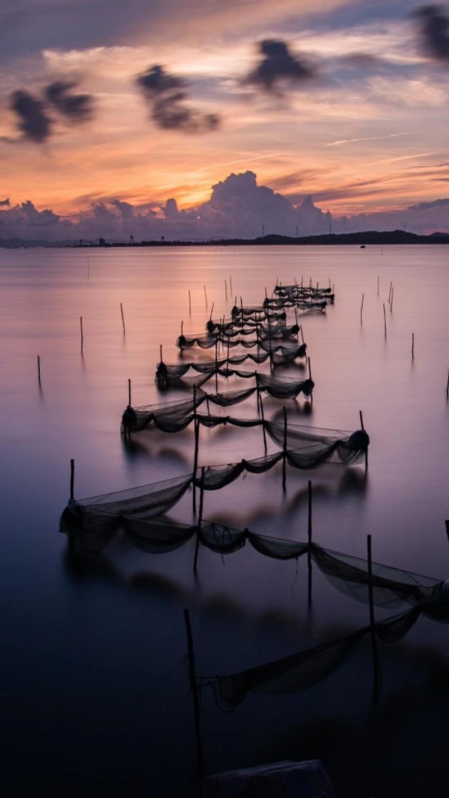 最有用的知识是关于方法的知识,怎样才算真正掌握了知识