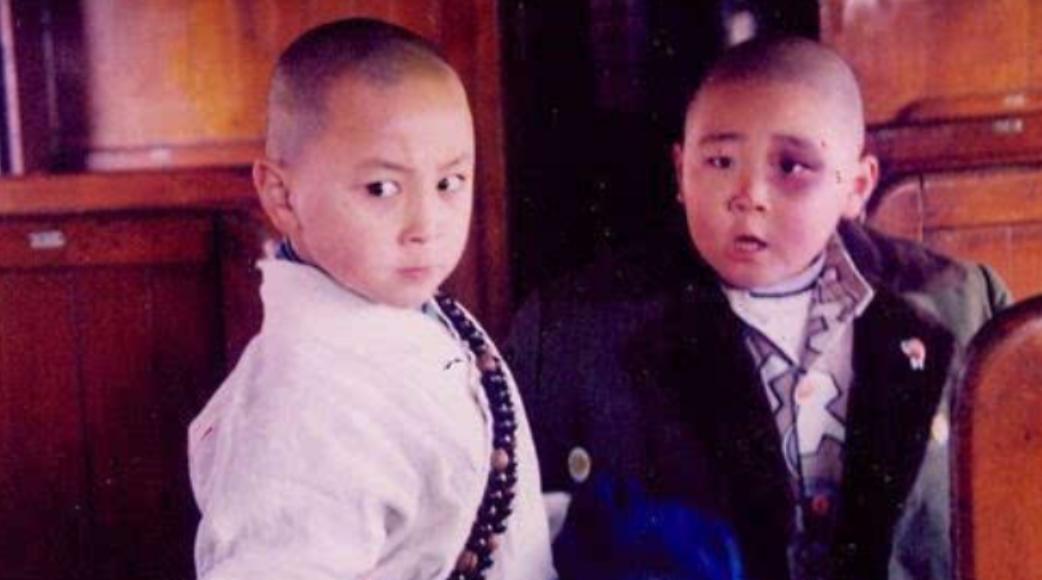 12位童星今昔对比,从知名童星沦落为阶下囚