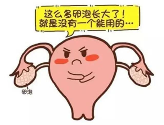 备孕科普素材,卵泡长大了不排会引起雌二醇低吗