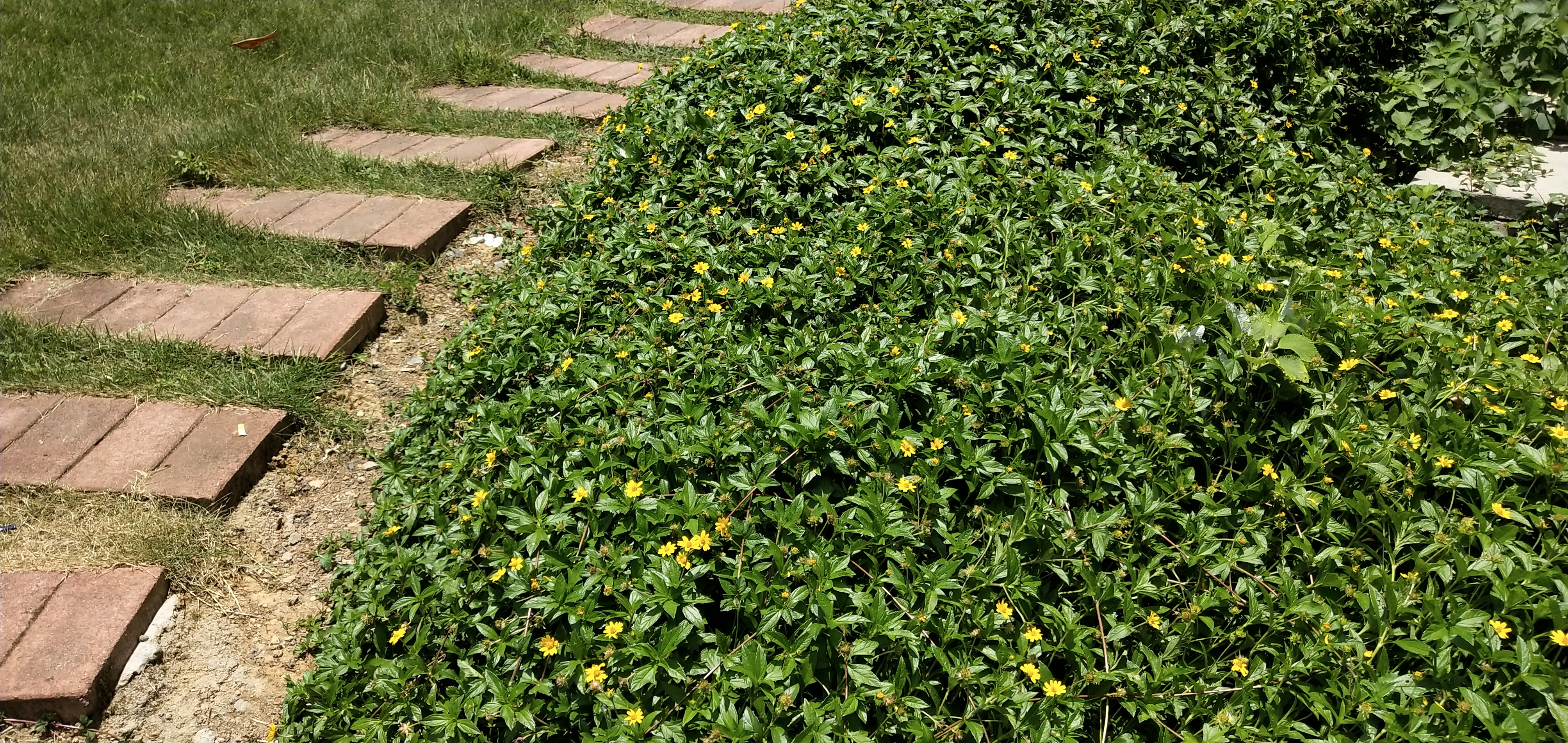 韶关旧貌与新貌,韶关生态环境与治理