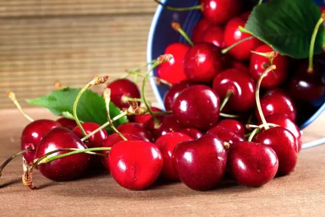 车厘子树苗和樱桃树苗什么区别,车厘子为什么贵