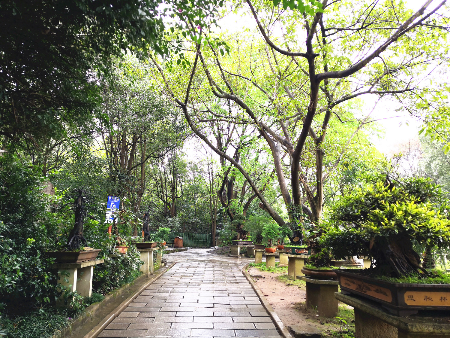 冬季的黄果树瀑布,冬季黄果树瀑布要带雨衣吗