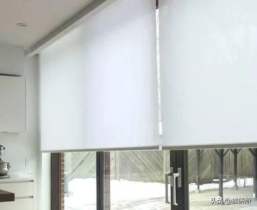 怎么惩罚猫咪挠沙发,猫咪不会挠坏的沙发