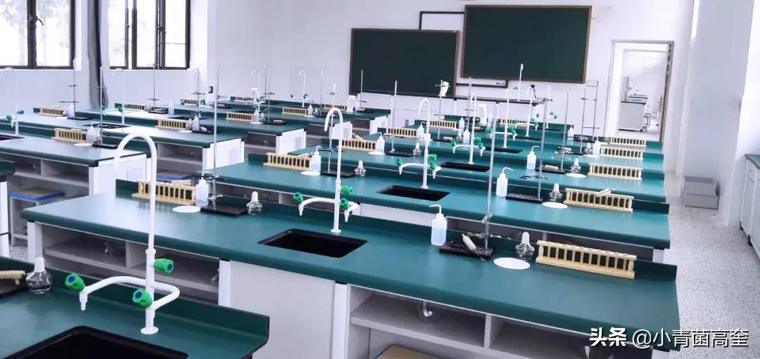 云南曲靖会泽县茚旺高中致远中学高一新生及补习班招生简章来啦