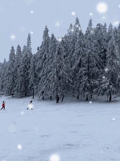 热腾腾麻辣火锅,8d魔幻山城重庆美食街